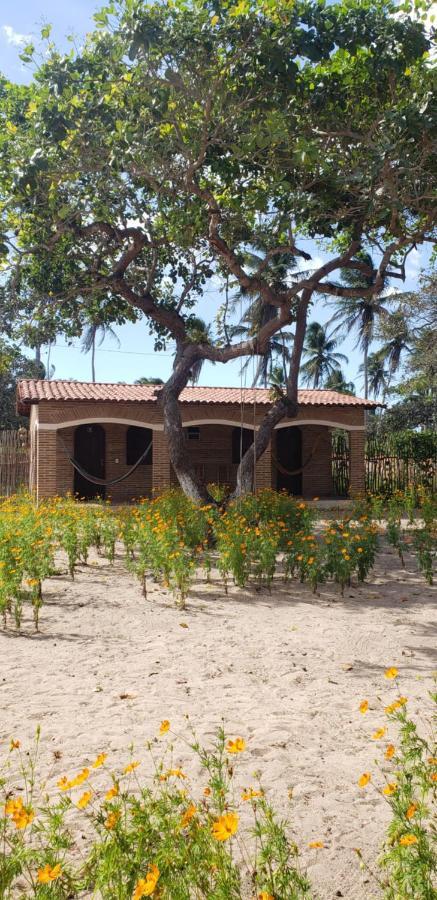 Pousada Vila Mangue Seco Жижока-ди-Жерикуакуара Экстерьер фото